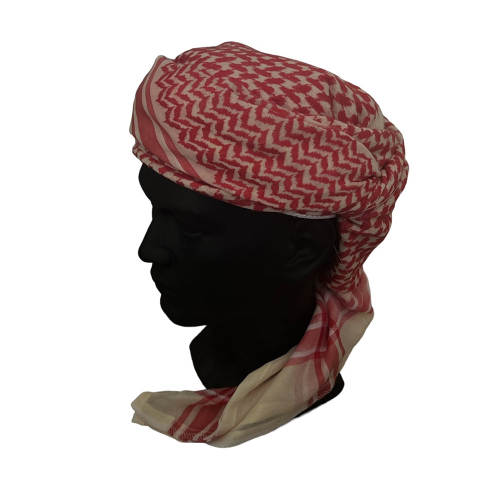 Twinkling Turban of Tariq - Hamdania