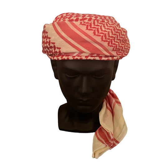 Twinkling Turban of Tariq - Hamdania