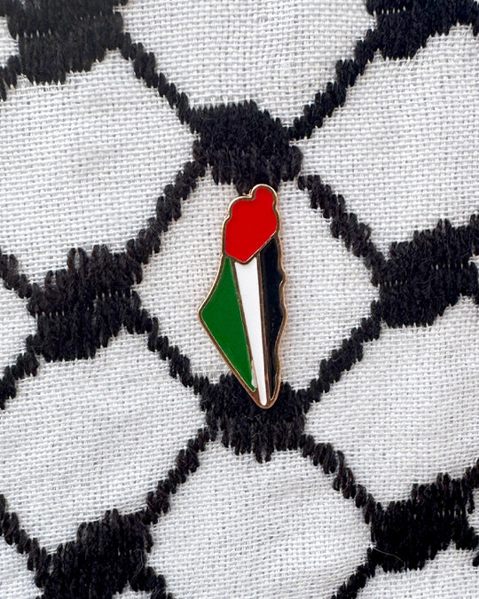 Heritage Redefined: Palestine Map Badge – The New Edition