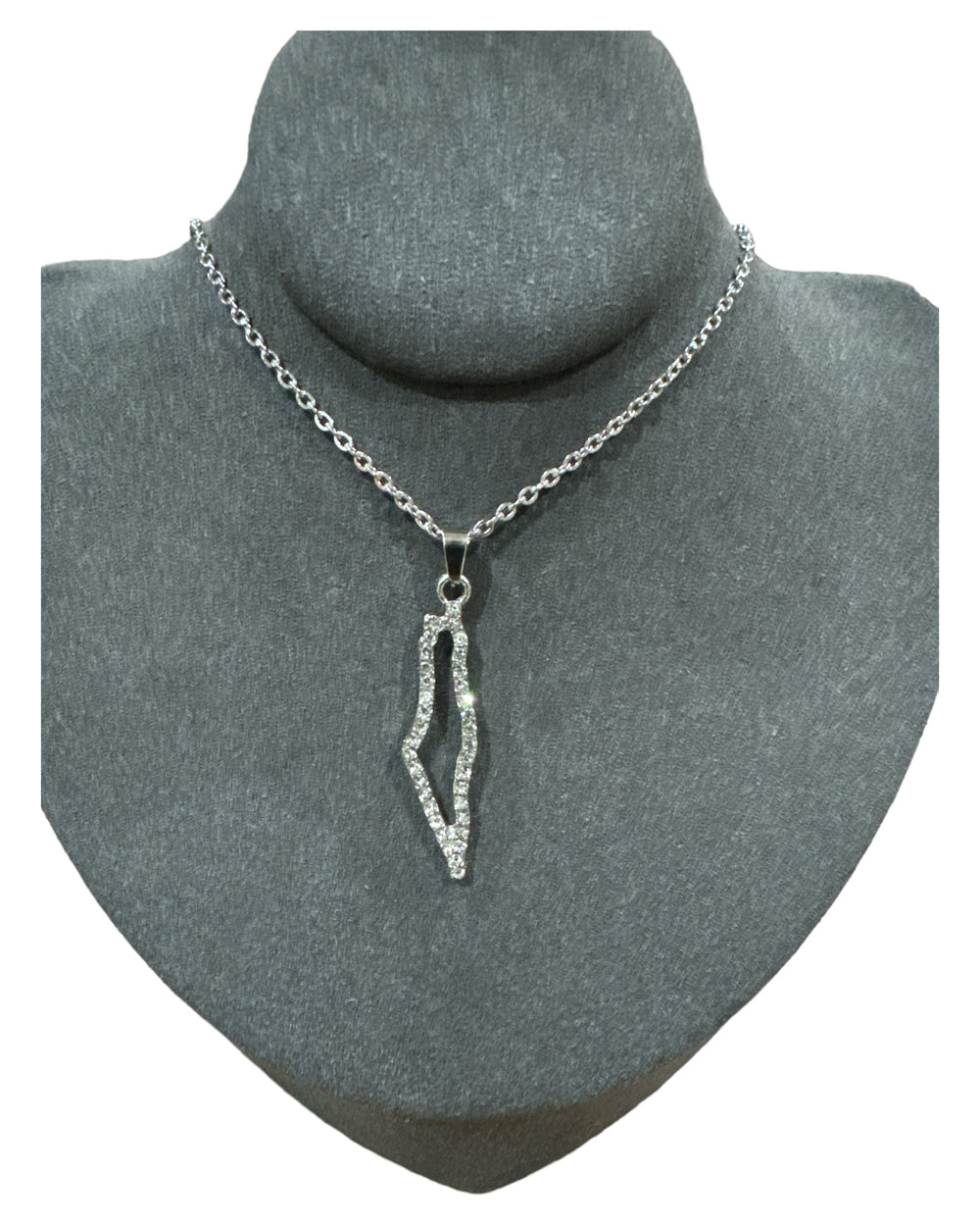 Crystal Borders: Stainless Steel Hollow Palestine Map Necklace