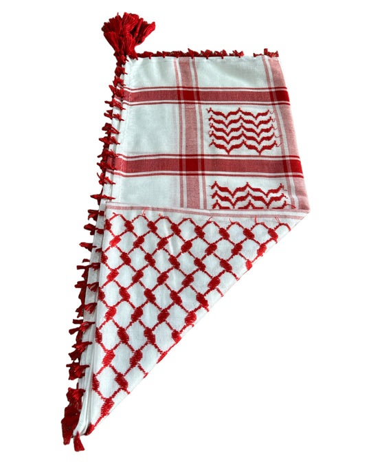 Zuhd Palestine Shami – White & Red Pattern with Braids